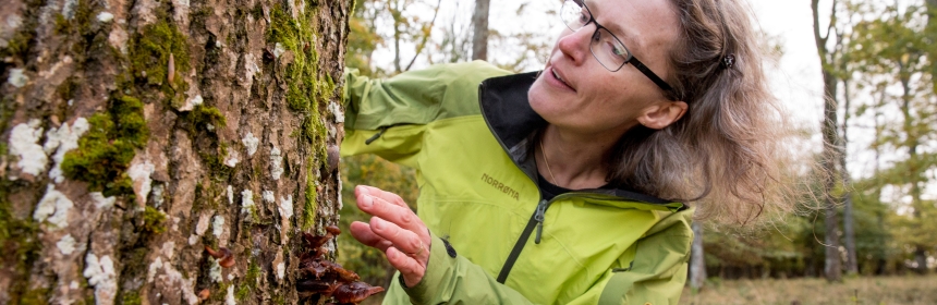 Anne-Sverdrup-Thygeson has made it her life's mission to fascinate the world - with insects