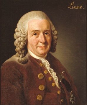 Carl_von_Linné